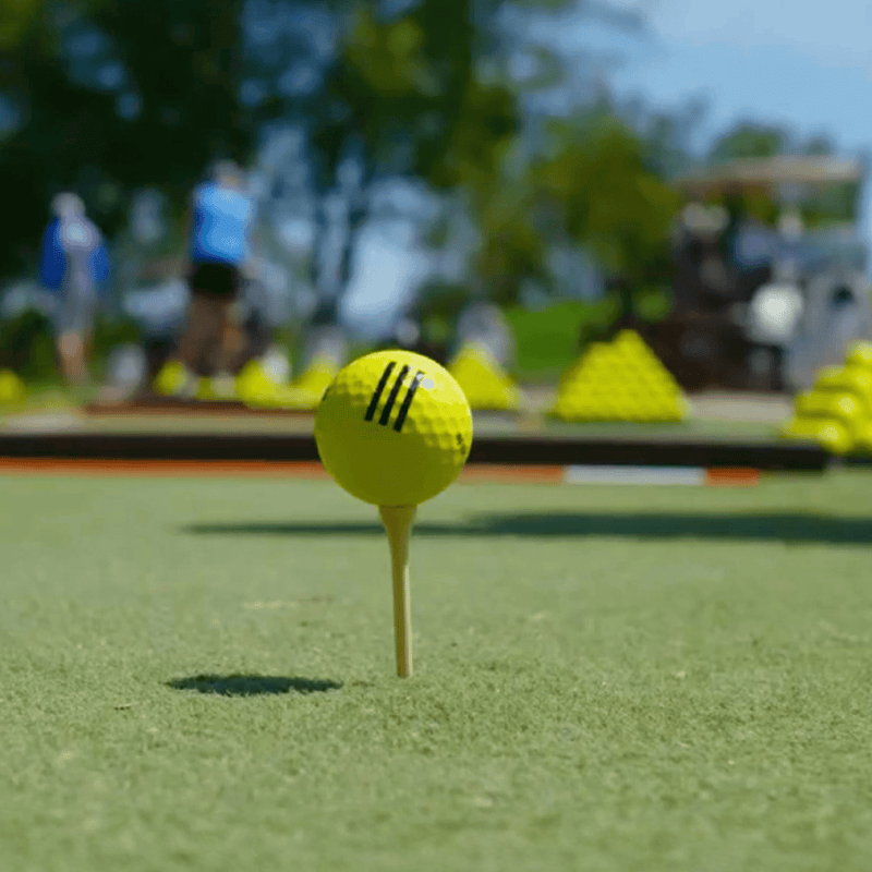 EZTee Hybrid Hitting Strip